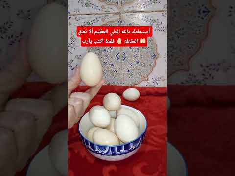 أستحلفك بالله العلي العظيم ألا تغلق المقطع صلوا على النبي
