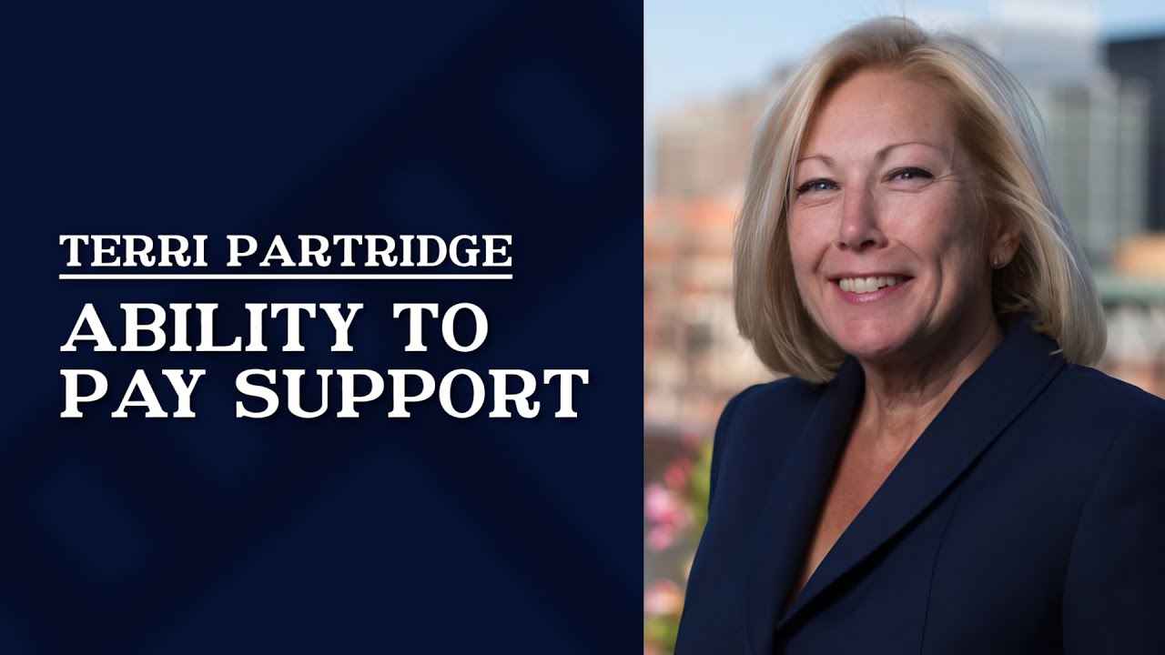 how-is-a-parent-s-ability-to-pay-alimony-or-child-support-determined-in