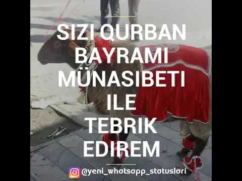 ❤❤❤Salam,deyerli,izleyicilerim,Qurban,bayramlnlz,mubarek,allah,kesilen,qurbanlnlzl,qebul,etsin,Amin❤