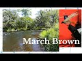 Мушка March Brown 4k