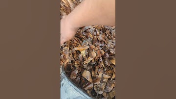 Composting 101: The Perfect Compost Recipe.