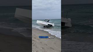 Have you ever seen an Iguana Yacht before? Have you ever seen an Iguana Yacht before?