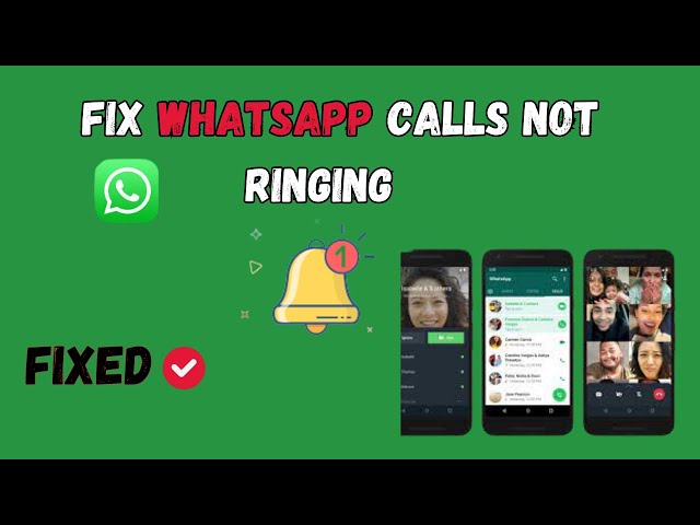 Fix WhatsApp Call Not Ringing on Android – TechCult