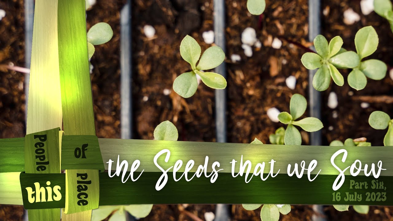 The Seeds that we Sow - 16 July 2023 - YouTube