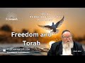 Freedom and Torah (HaRav Yitzchak Breitowitz)