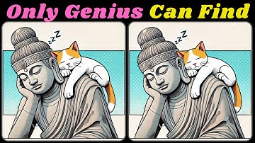 Spot The Difference : Are You Genius? Can you Find all? 🍀384  [Spot 3 Differences]