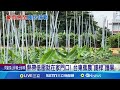 地震影響報導