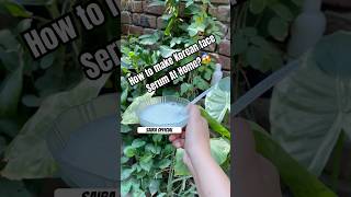 How to Make Korean FaceSerum at Home ? #dailyshorts #skincare #faceserum #homemade #diy #darkspots