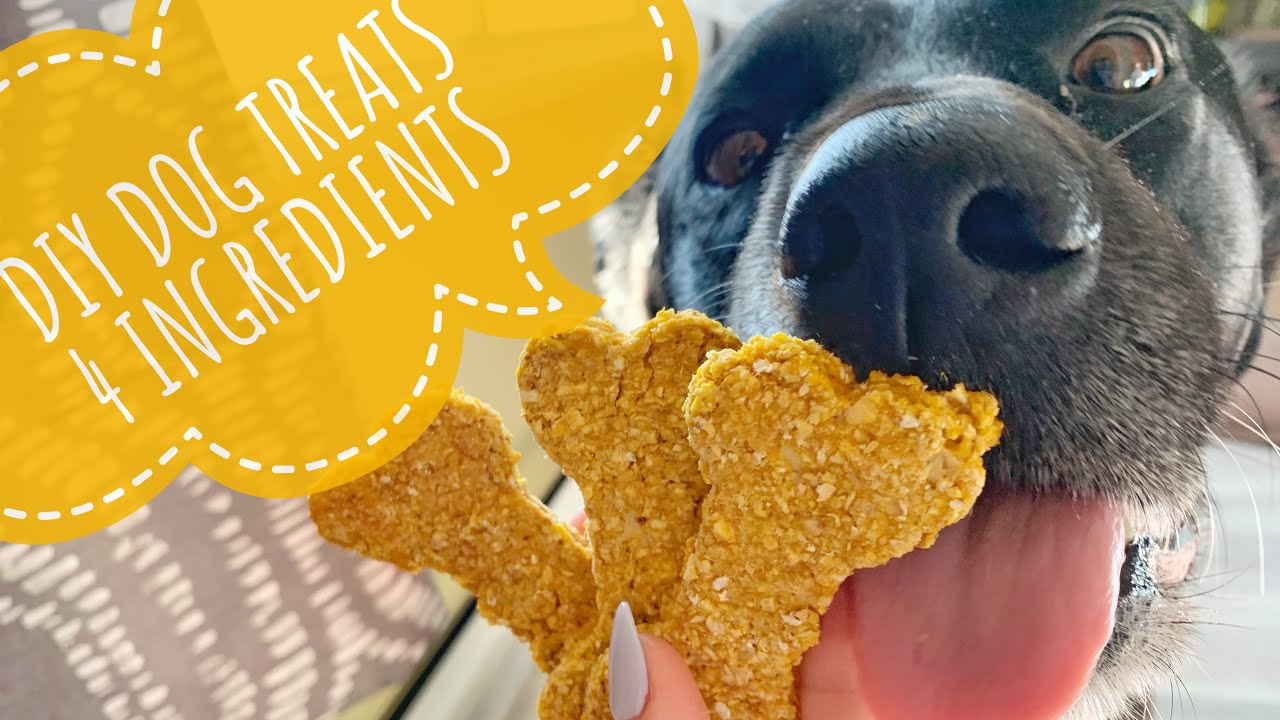 DIY All Natural Dog Treats Only 4 Ingredients YouTube