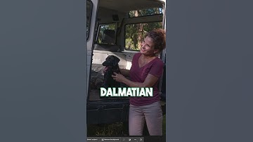 Generative AI in Photoshop Beta is the REAL DEAL