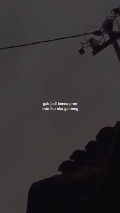 story wa 30 detik | gk jd lemes pren
