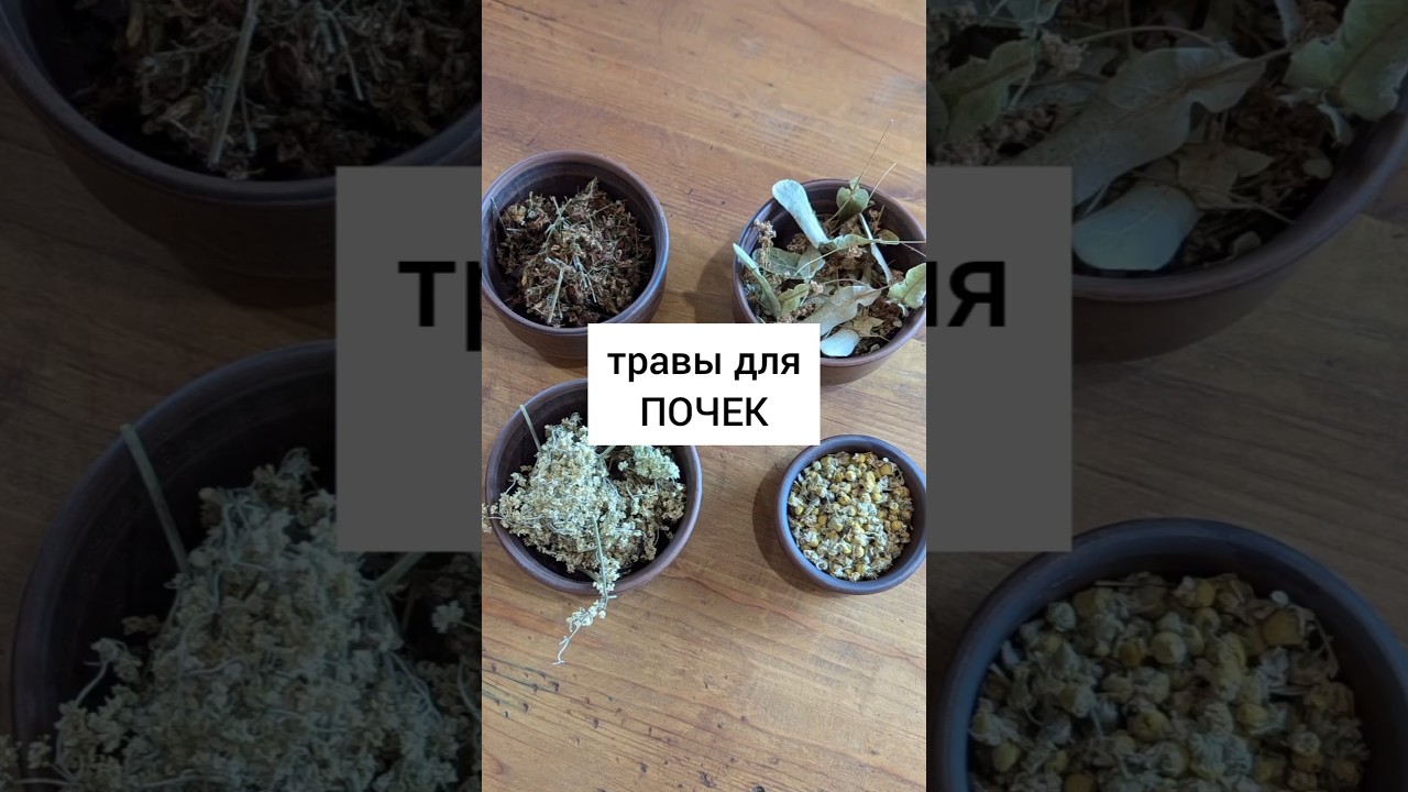 Травы от воспаления почек #травы #лекарственныерастения #травник #дикоросы