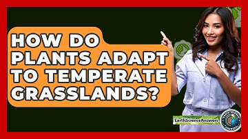 How Do Plants Adapt To Temperate Grasslands? - Earth Science Answers