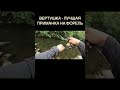 РЫБАЛКА МЕЧТЫ | ЛУЧШАЯ ПРИМАНКА НА ФОРЕЛЬ #рыбалка #спиннинг #форельнаспиннинг #форель #daiwa