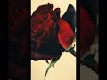 "Sempre fica um pouco de perfume nas mãos que oferecem rosa."🌹🍃