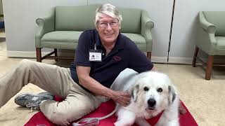Intermountain Therapy Animals @ JCPL