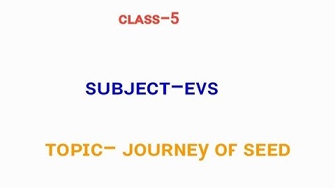 class 5 EVS chapter -8(journey of seed)