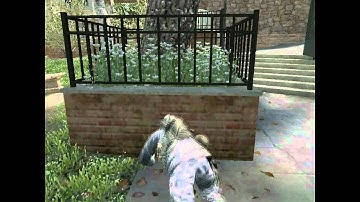 COD MW3 Cheaters caught (Aimbot, wallhack, etc)