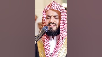 #رعد_الكردي_؛_#سورة_النبأ