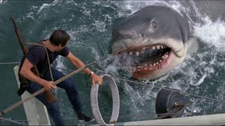 Killer Shark Unleashes Chaos On A Beach Town | Jaws | Movie Story Recap