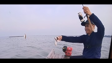 Câu Cá Đục  Núi Tổ Chim Móng Cái