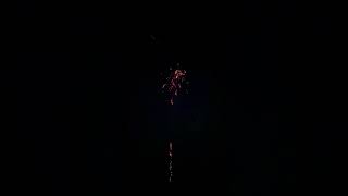 Firework testing #fireworks #view #fireworkshorts #fireworksfestival #fireworksphotography