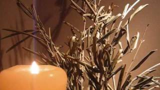 Cvjetnica Nedjelja Muke Gospodnje