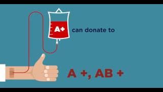 Blood Donation