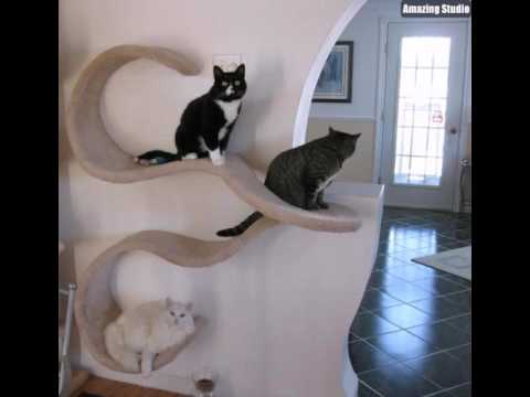 platzsparende m 246 bel viele katzen an der wand platzsparende m 246 bel viele katzen an der wand