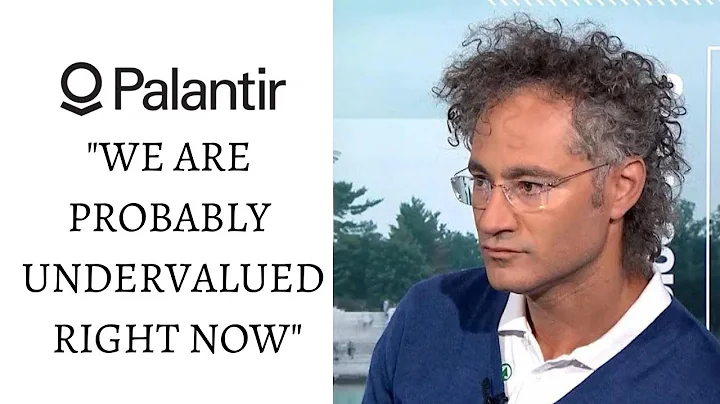 Palantir CEO Alex Karp: Our TAM Is North of $900 Billion Dollars | New CNBC Interview