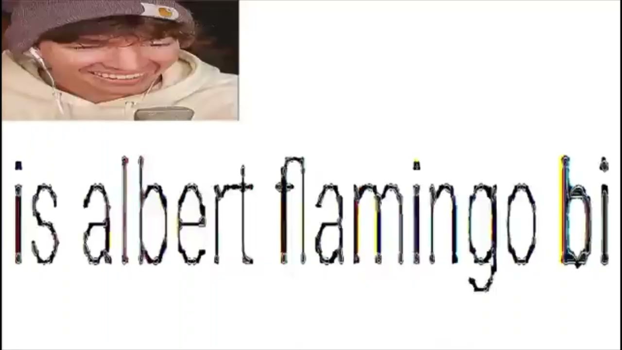 3 minutes and 57 seconds of random albert flamingo clips