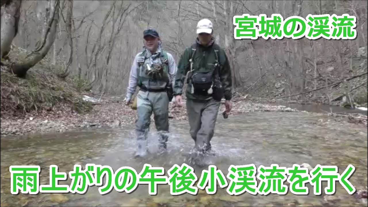 雨上がりの午後小渓流を行く イワナ30 宮城の渓流 みちのく釣りの旅 フライフィッシング渓流釣り 4k Fly Fishing Youtube 雨上がりの午後小渓流を行く イワナ30 宮城の渓流 みちのく釣りの旅 フライフィッシング渓流釣り 4k Fly Fishing Youtube