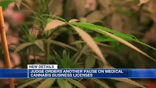 Judge orders another pause on Alabama medical cannabis business licenses