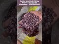 Purple Speckled Kidney Bean #kidneybeans #beans  #pulses #colorsorter  WA8618326129021