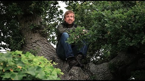 The Secret Life of the Oak Tree: BBC Gardeners