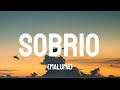 Maluma - Sobrio (Letra/Lyrics)