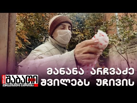 მანანა არჩვაძე-გამსახურდია შვილების წინააღმდეგ