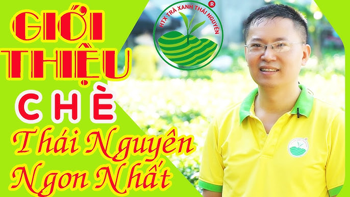 Khi nào thì là thời điểm thích hợp để thưởng thức chè Thái Nguyên ngon nhất?