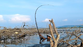 Unbelievable fishing|| best fishing vidio|| big rohu fish catching in river|| big hook fishing