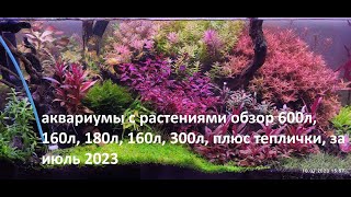 аквариумы с растениями обзор 600л, 160л, 180л, 300л за июнь 2023