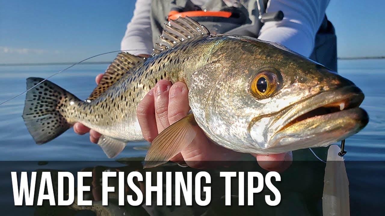 Must Know Wade Fishing Tips: How to Catch MORE Fish