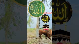 Ya Rabbul Alamin Allahu Allah Islamicvideo Shortfeed Youtubeshorts Vfxshorts