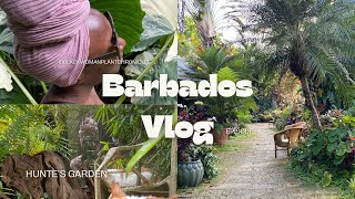 Barbados Vlog 🇧🇧 | Episode 1: A Tranquil Afternoon at Hunte's Garden 🌺