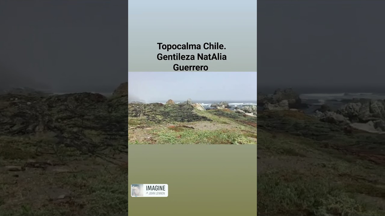 Playa De Topocalma  Chile.