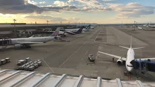 【中部国際空港】国際線の航空機。