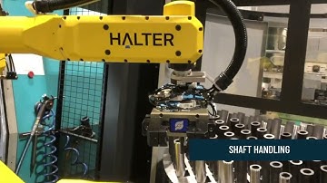 HALTER Extra functionalities - Shaft handling