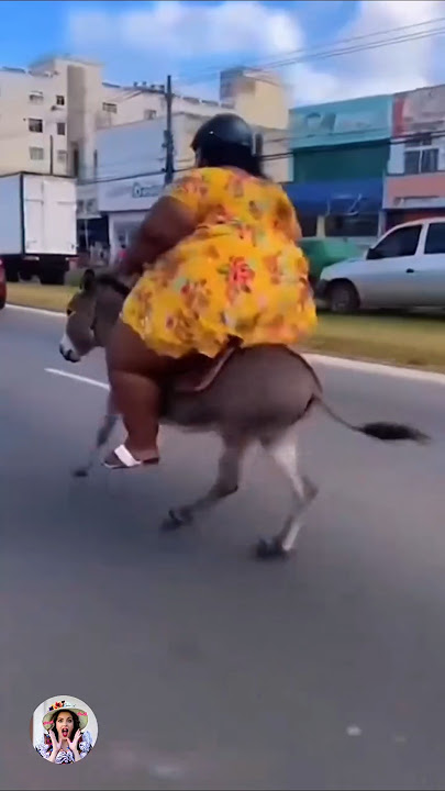 الحمار يستغيث 😂