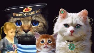 ОЧАРОВАТЕЛЬНЫЕ ПРИКОЛЫ с котами с озвучкой ❤️ А Вы так можете? ☀️ 😊 Забавные примеры монтажа.  2020