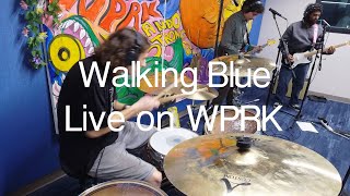 Walking Blue LIVE @ WPRK Flower Hour (12/04/25)