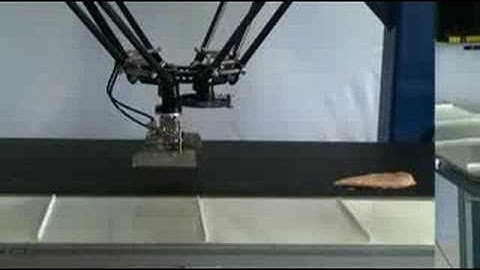 Applied Robotics Meat Gripper in action at Adept Tech